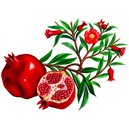 Цветок граната Гутенберг (чайный напиток, соцветия, 100 г)